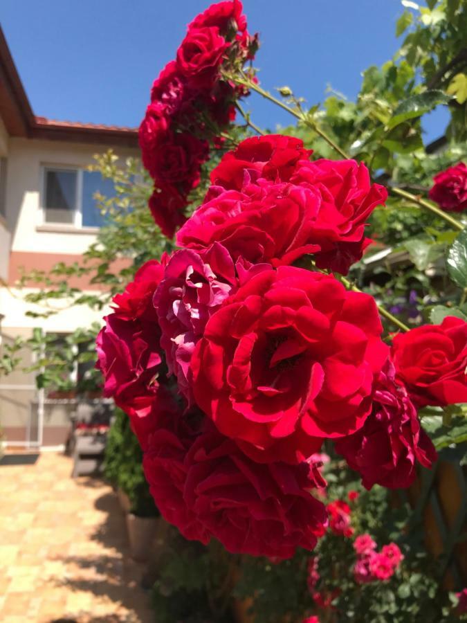 Black Sea House Apartment קונסטנצה מראה חיצוני תמונה
